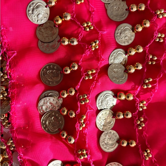 Fuchsia Coin Hip Scarf with Gold Coins for dogs - Picture 3 of 4